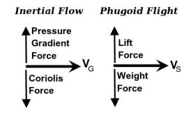 InertialFlow-PhugoidFlight
